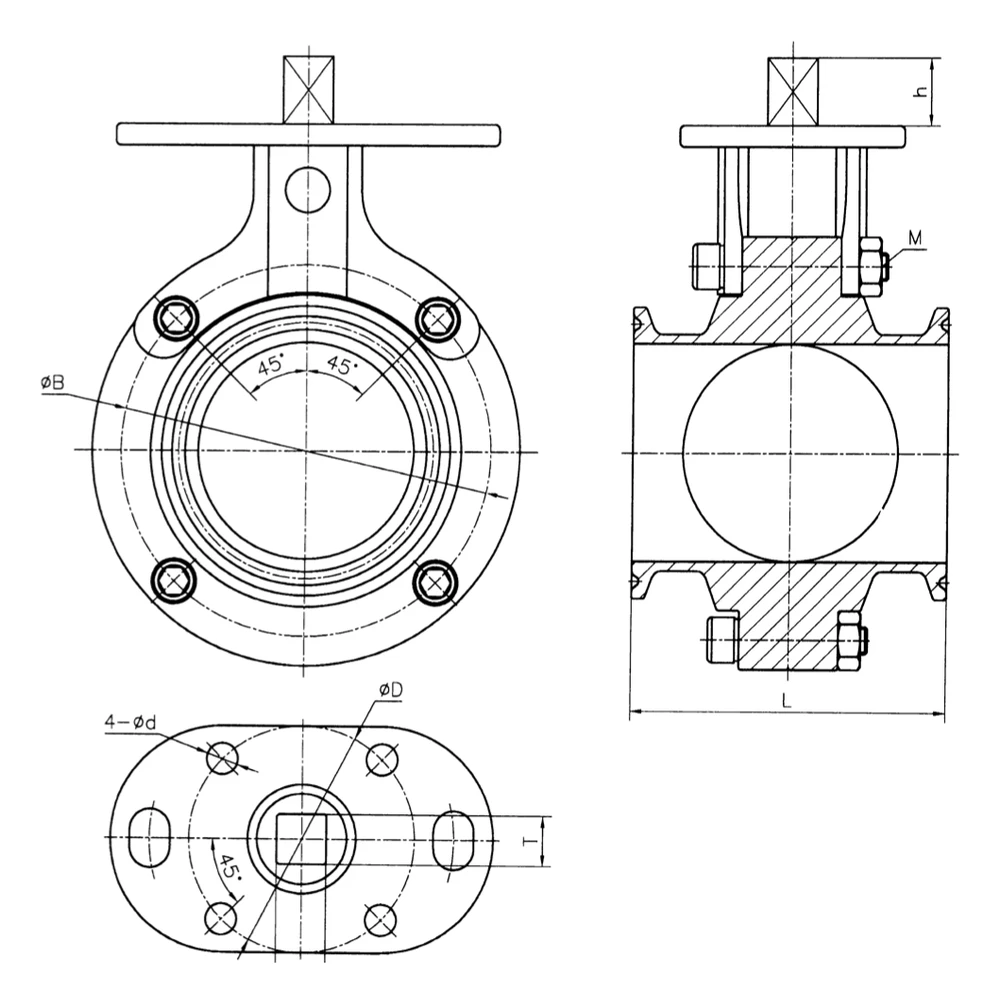 Wafer butterfly valve dimension drawing showing L, D, d, T, h, B and M mounting bolt size - YZNG TRONG