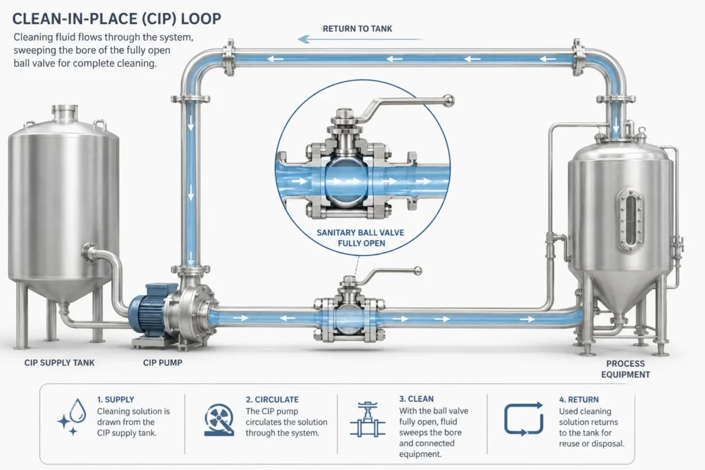 Stainless Steel Valves for Food Processing | 316 Guide