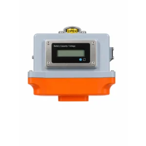 Battery backup electric actuator with LCD battery display
